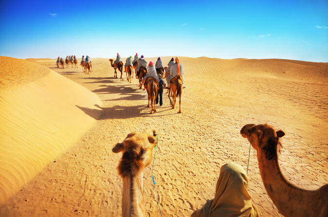 DESERT SAFARI