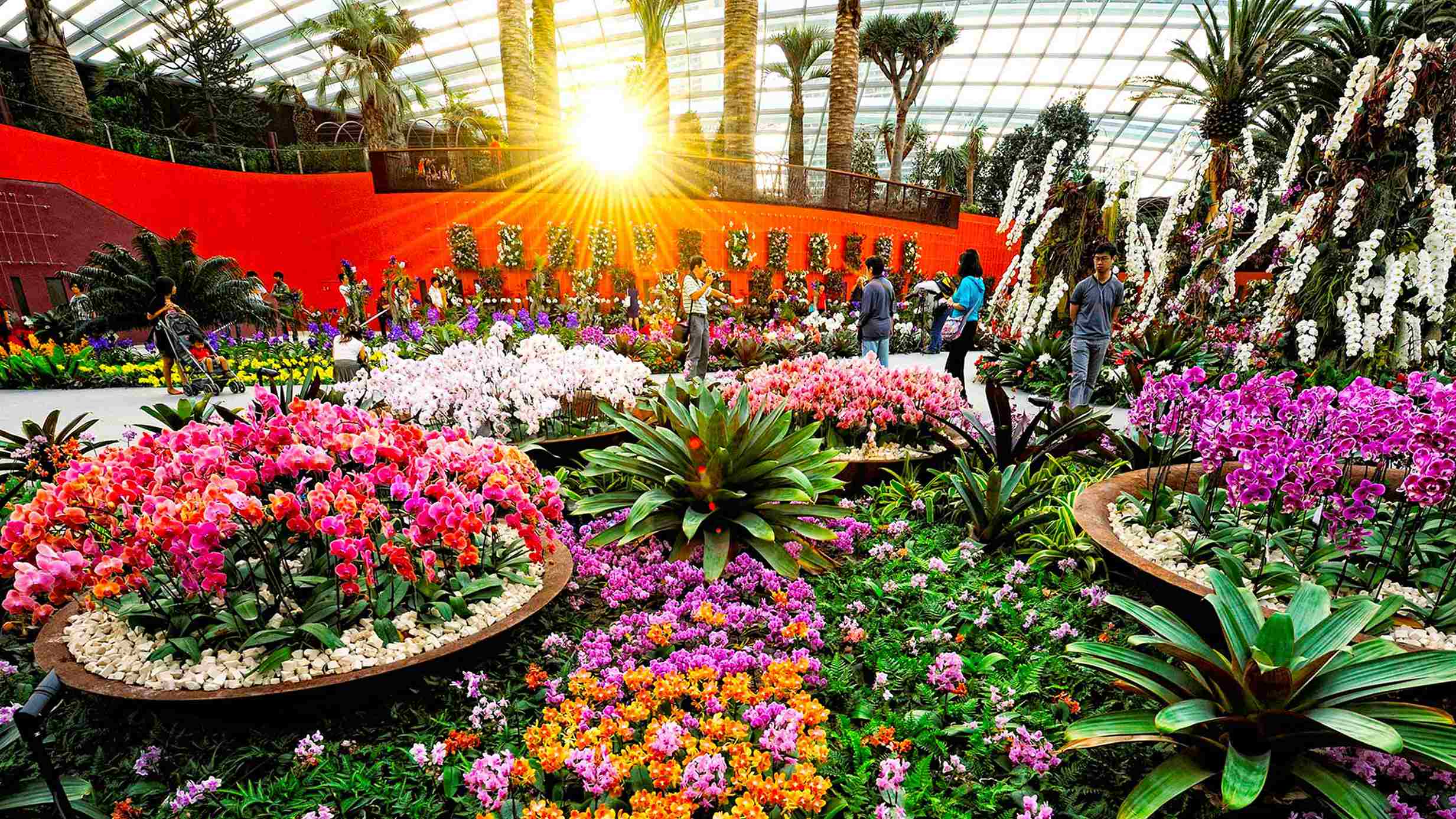 Flower dome