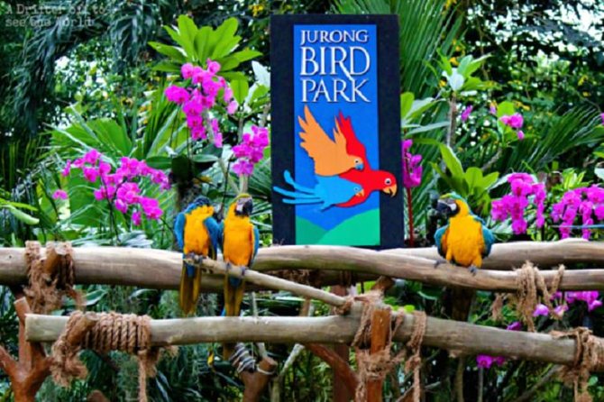 Jurang Bird Paradise