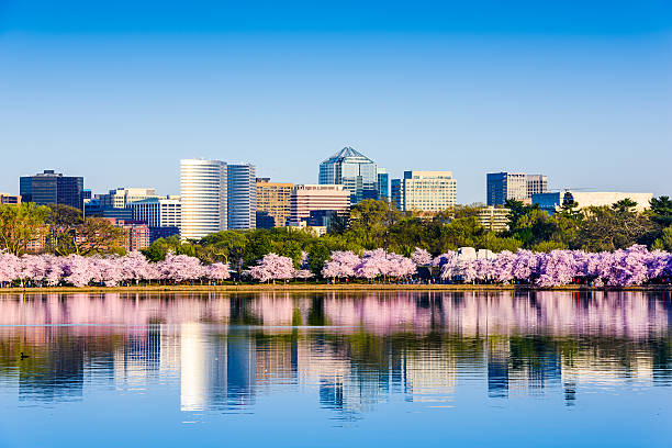 Washington City
